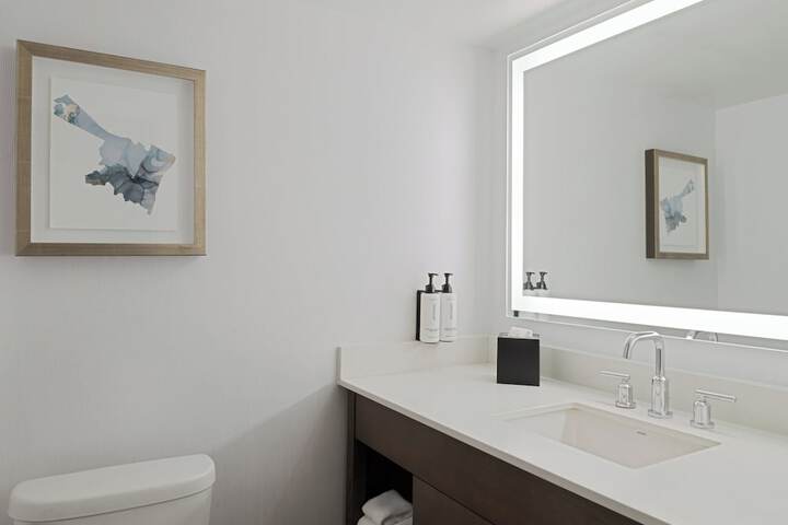 Crowne Plaza Albany - The Desmond Hotel by IHG