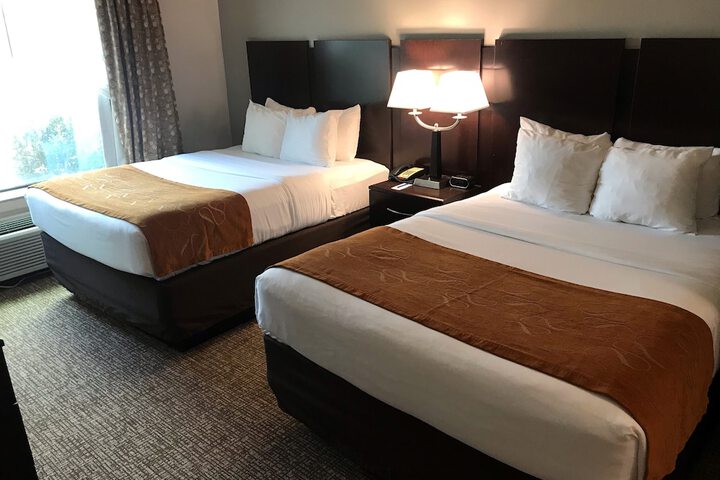 Comfort Suites Bay City East