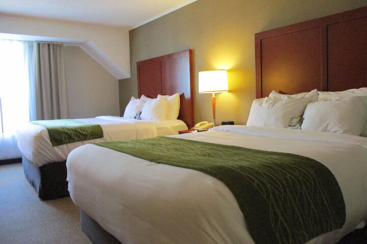 Room 25 of 41