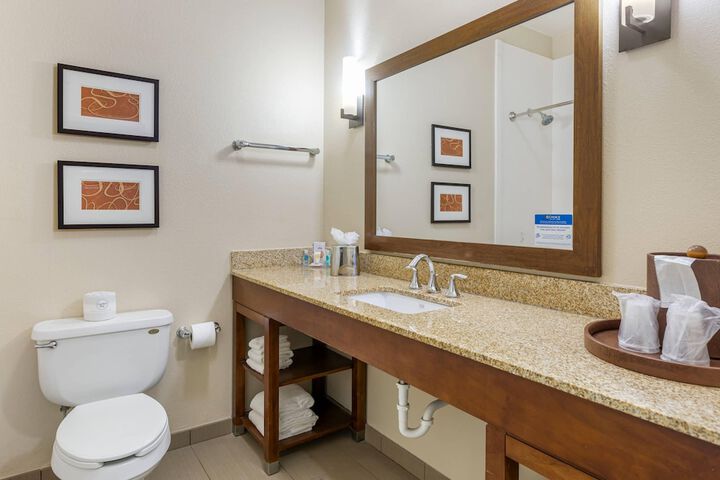 Comfort Inn Memphis Downtown