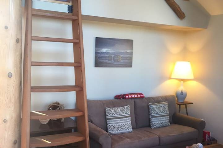Black Bear Guesthouse