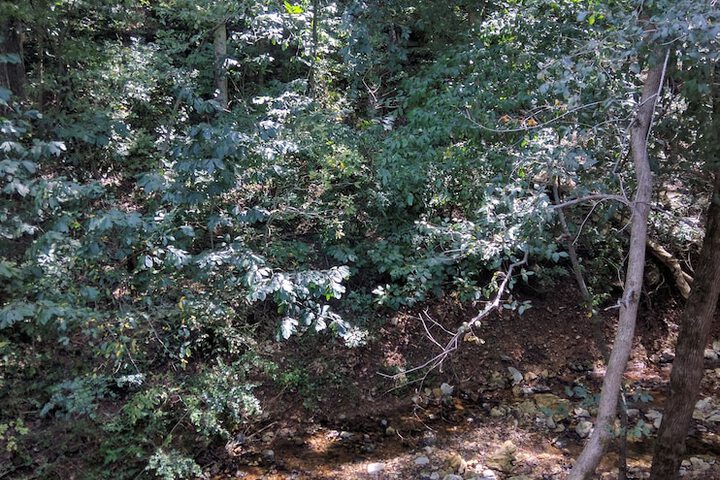 Property Grounds 51 of 53