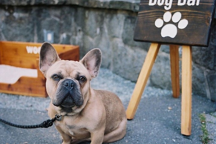 Pet Friendly 72 of 78