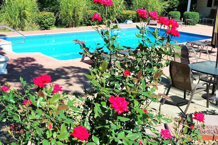 Pool 8 of 44