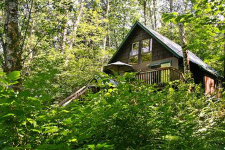 Huckleberry Hideout Cabin with Hot Tub