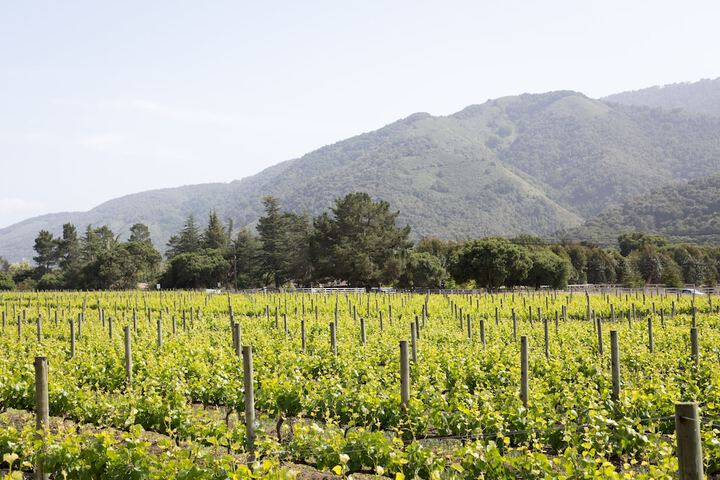 Bernardus Lodge & Spa