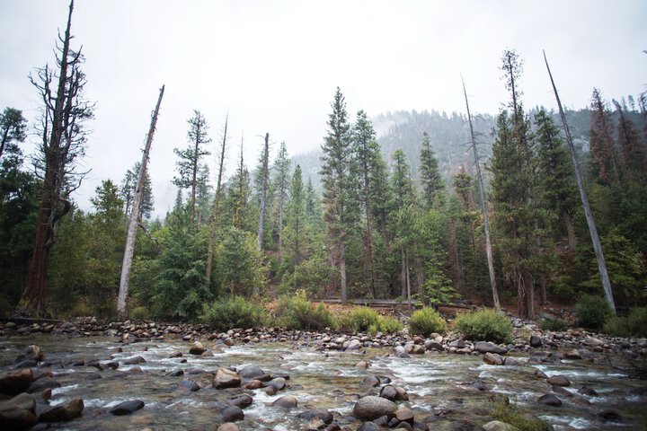 Property Grounds 18 of 21