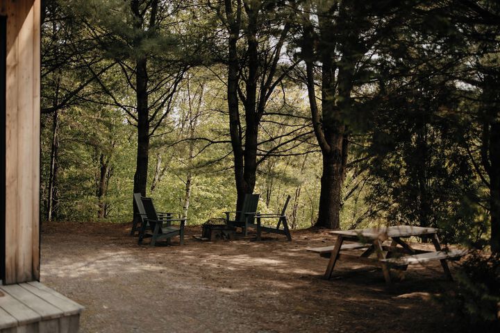 Nature Nature