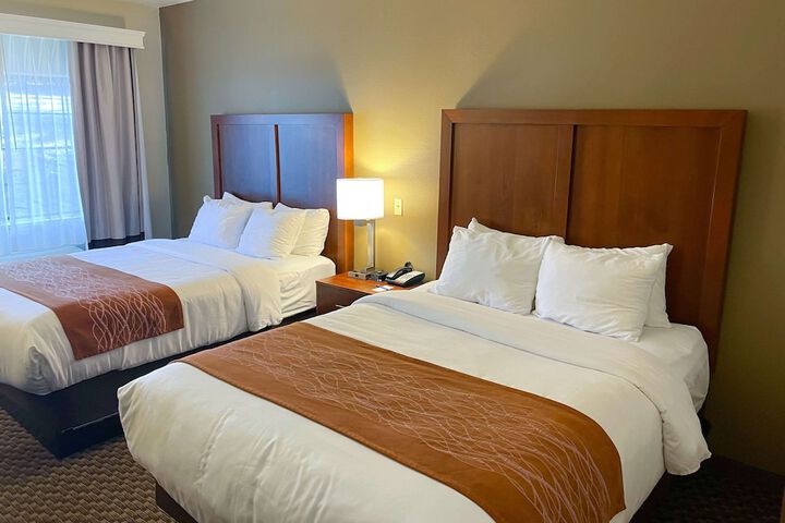 Comfort Inn & Suites Midtown