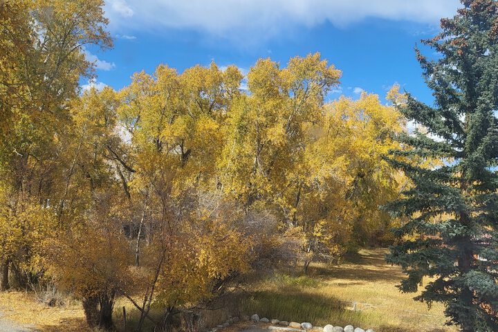 Buffalo Peaks B & B