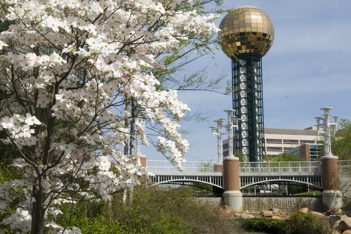THE TENNESSEAN Hotel