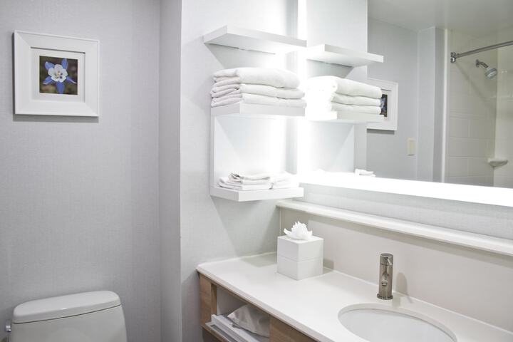 Hampton Inn & Suites Denver-Speer Boulevard