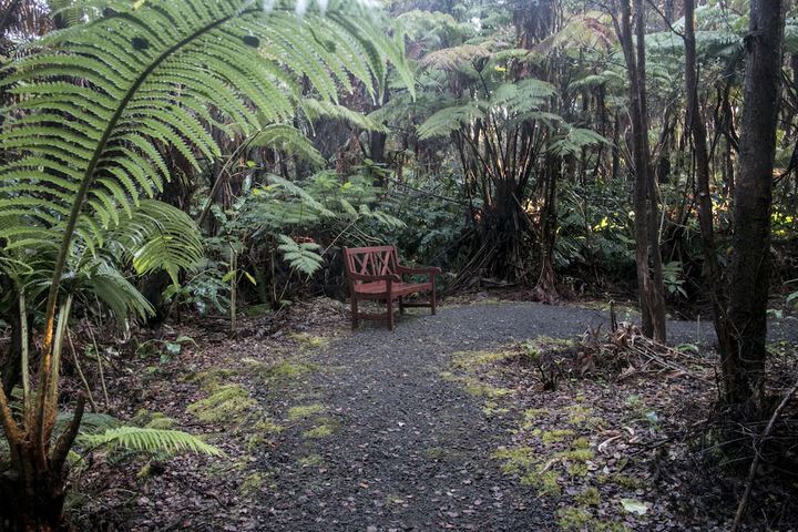 Chalet Kilauea