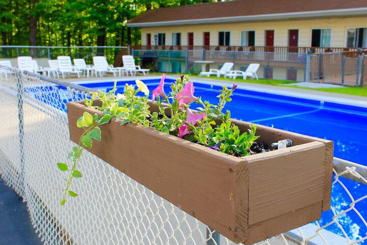 Pool 8 of 60