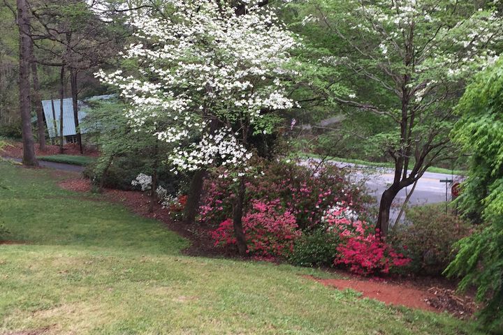 Property Grounds 172 of 175