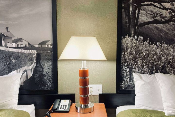 Super 8 by Wyndham Colorado Springs / Afa Area