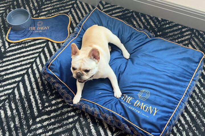 Pet Friendly 61 of 61