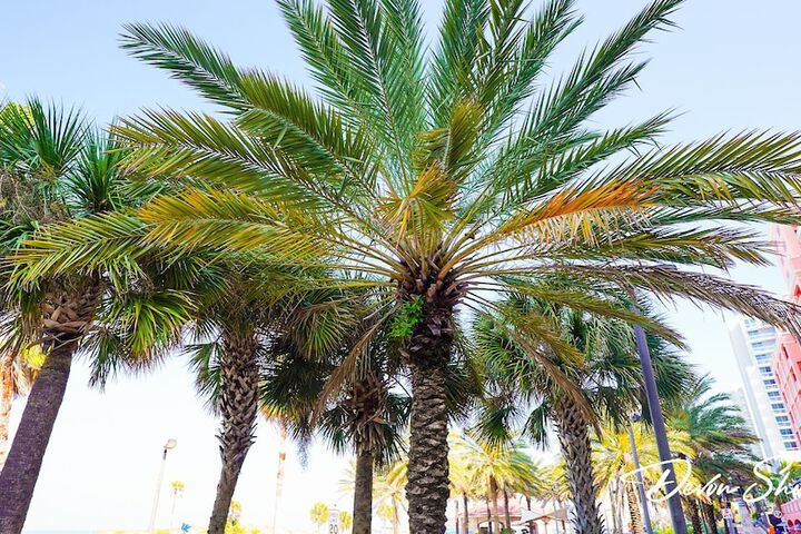 Beach 100 of 131