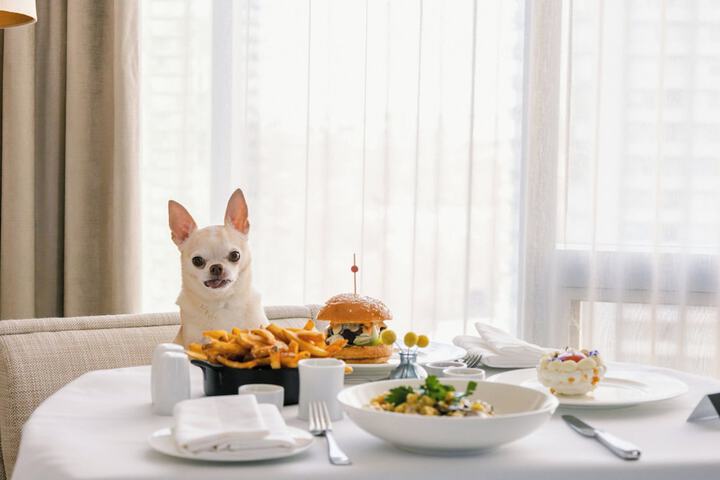Pet Friendly 89 of 92