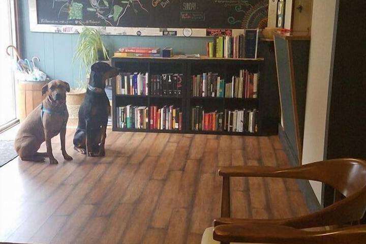 The Local Hostel