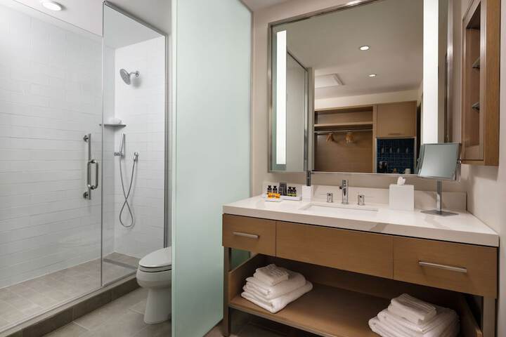 Canopy by Hilton Dallas Frisco Station TX
