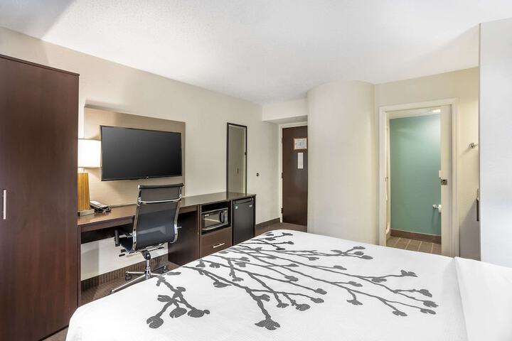 Room 16 of 24
