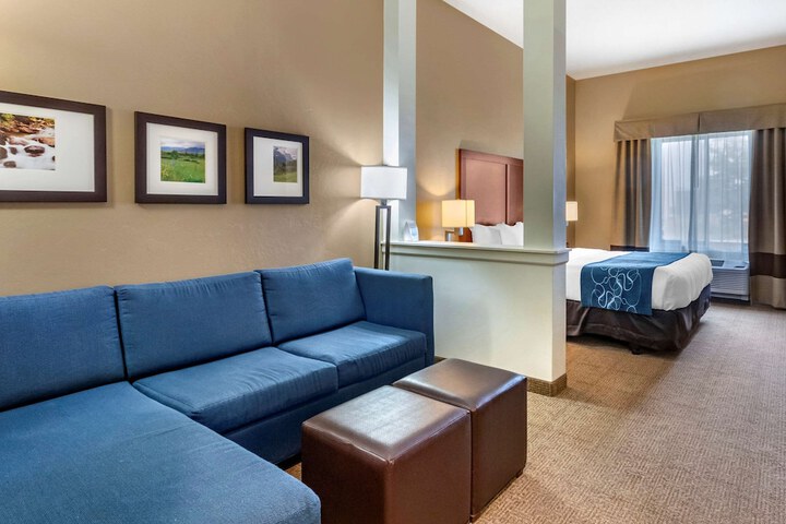 Comfort Suites Airport - University