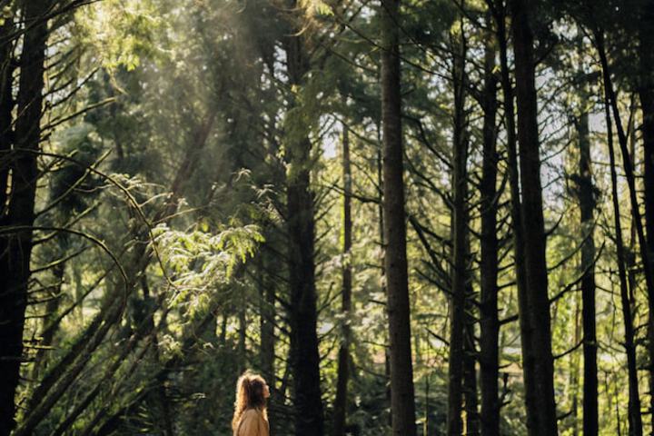Salishan Coastal Lodge