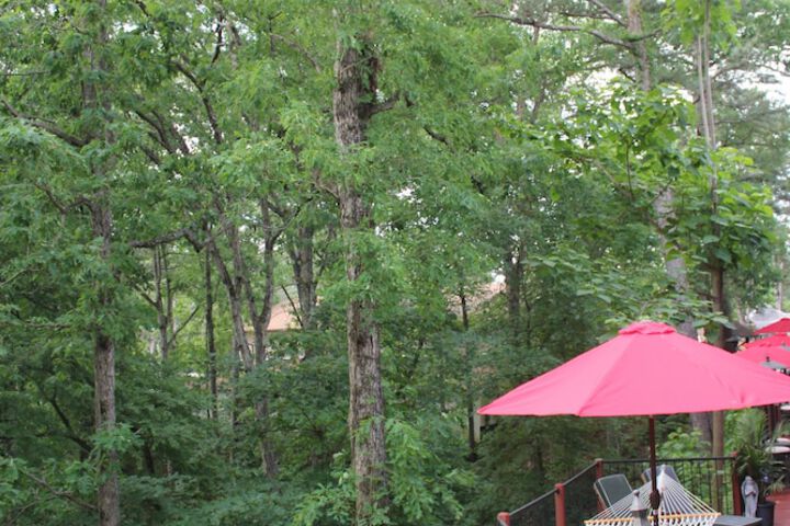 Hotel View 202 of 219