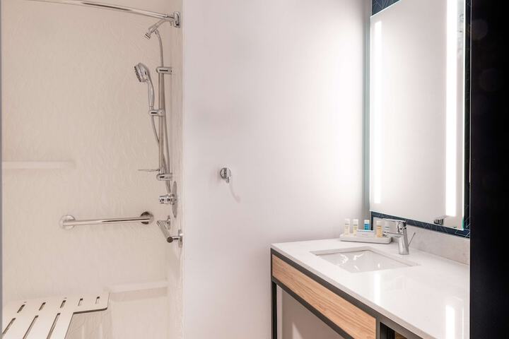 Hilton Garden Inn Flint Downtown