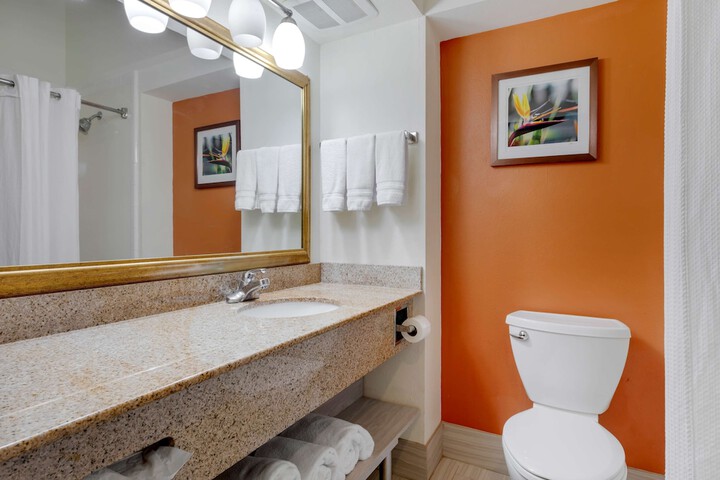Best Western Plus Rockwall Inn & Suites