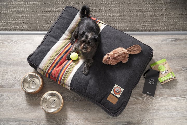 Pet Friendly 60 of 60