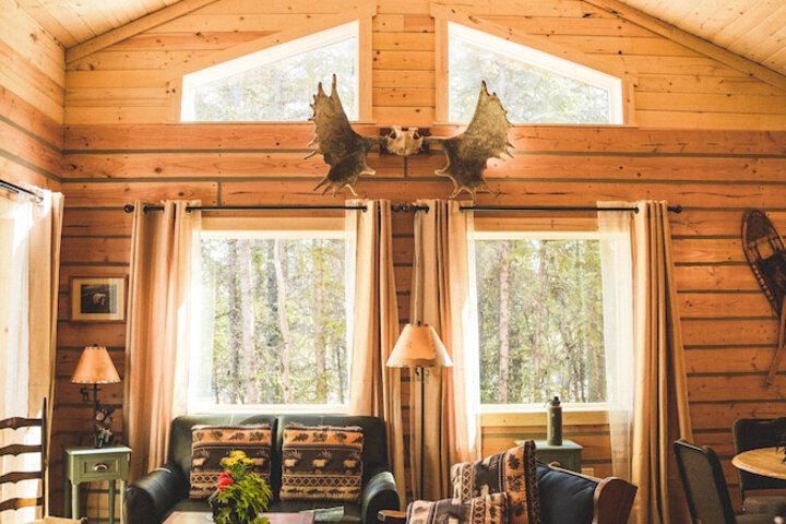 Denali Wild Stay