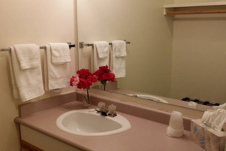 Skagit Motor Inn