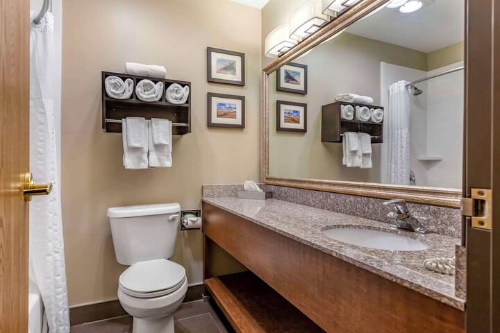 Comfort Inn & Suites Ludington near US-10