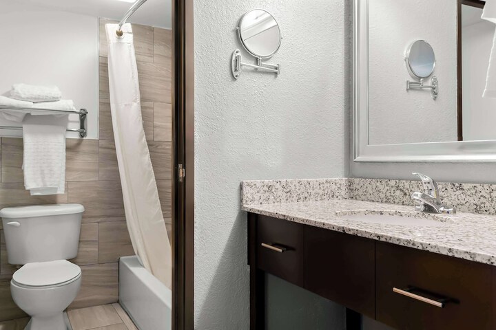 Best Western Plus Flint Airport Inn & Suites