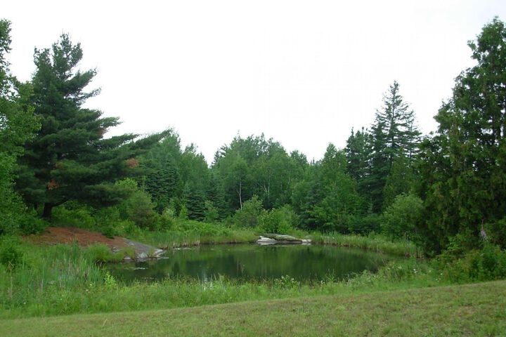 Property Grounds 23 of 26