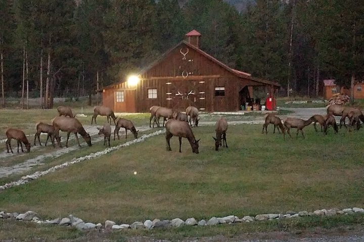 The Wild Game Inn