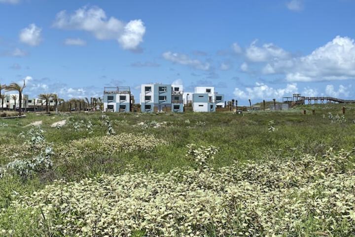 Lively Beach