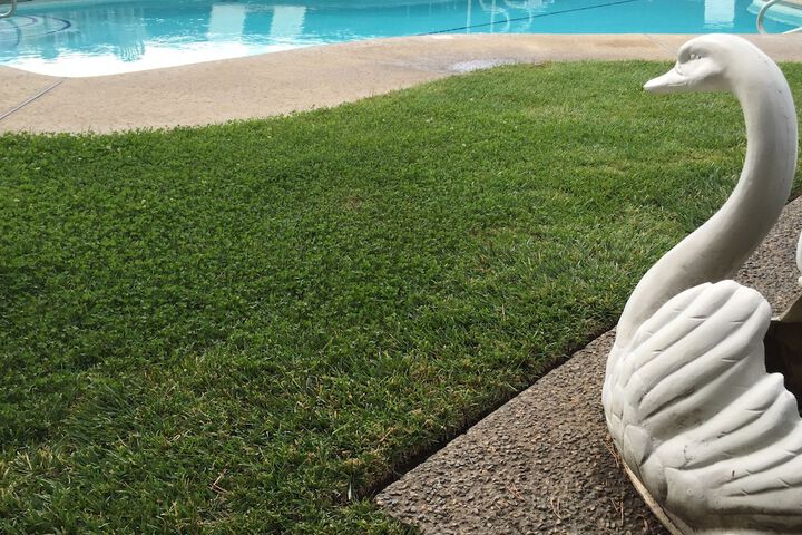 Pool 15 of 66