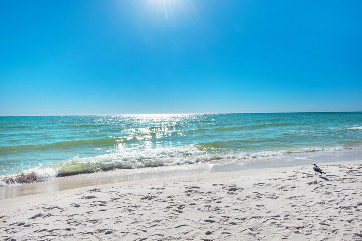Beach 63 of 81