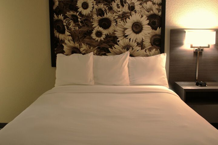 Boarders Inn & Suites