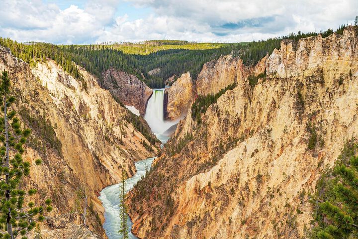 Wander Camp Yellowstone Island Park