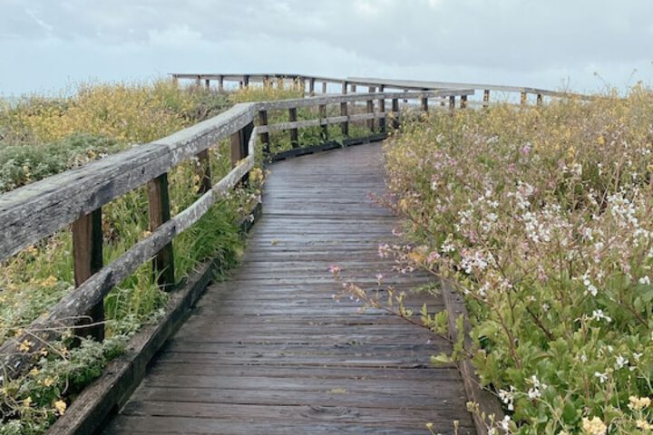 Oceanpoint Ranch