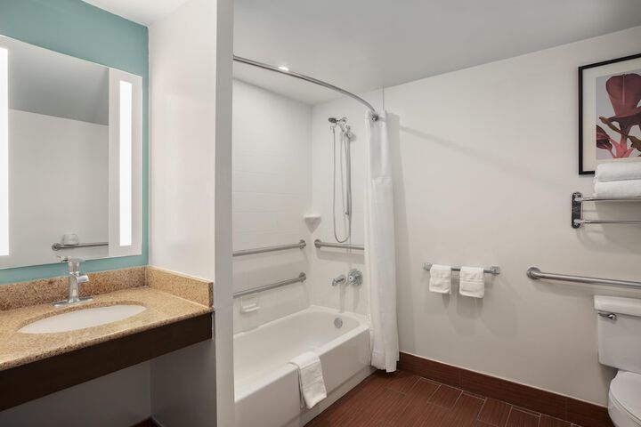 Hilton Garden Inn Tampa North Busch Gardens