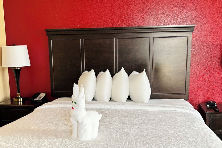 Room 40 of 101