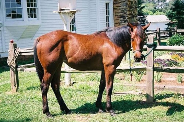 Seventy-four Ranch