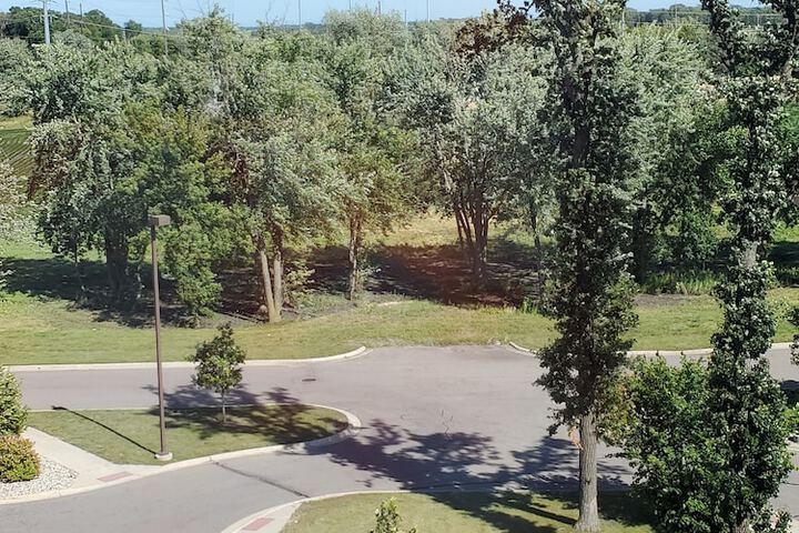 Property Grounds 84 of 85