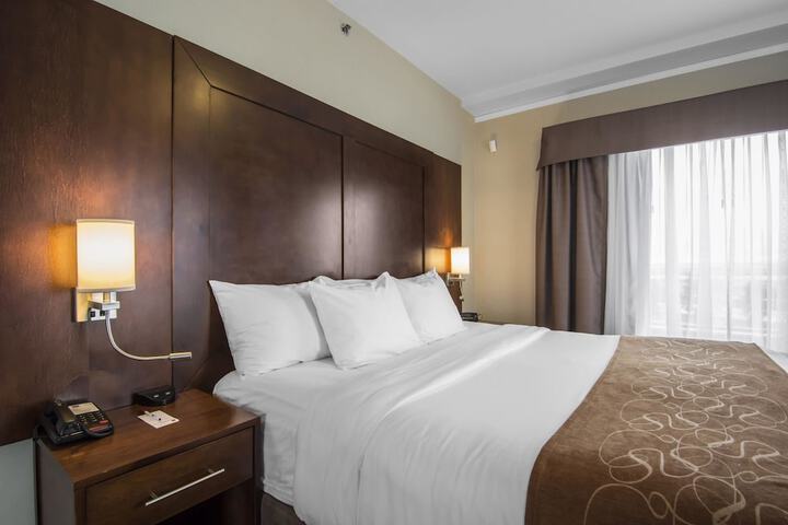 Room 43 of 54