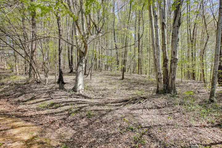 Burkesville Vacation Rental - 5 Mi to the Lake!